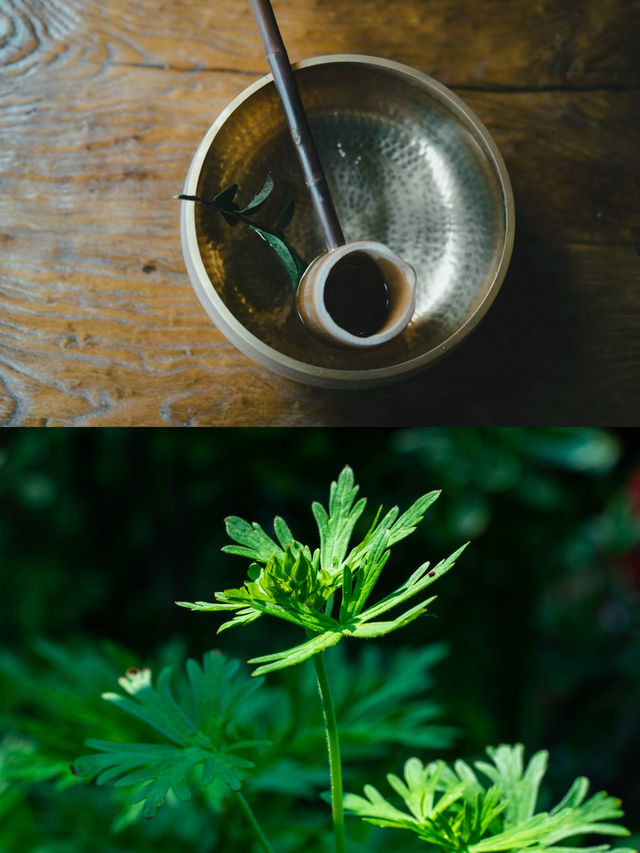端午童趣季｜喺山野過個有儀式感嘅節日！