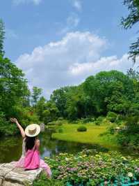 救命！！在武漢誤闖愛麗絲仙境花園💐實況live美到窒息😭