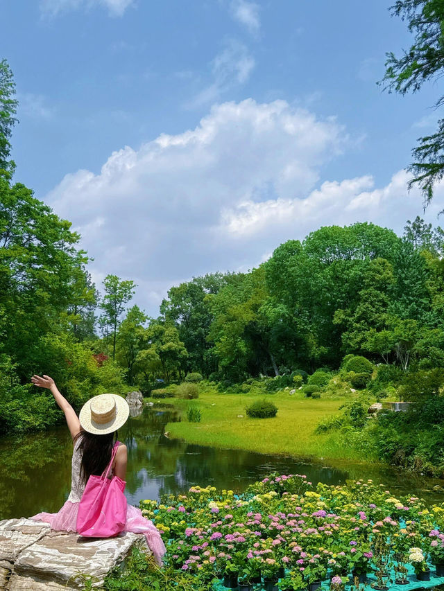 救命！！在武漢誤闖愛麗絲仙境花園💐實況live美到窒息😭