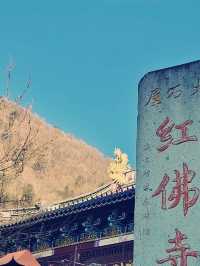 端午佳節，邂逅嵊州紅佛寺