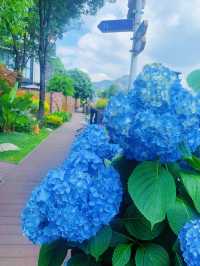 在西山腳下，住進會呼吸的花園酒店