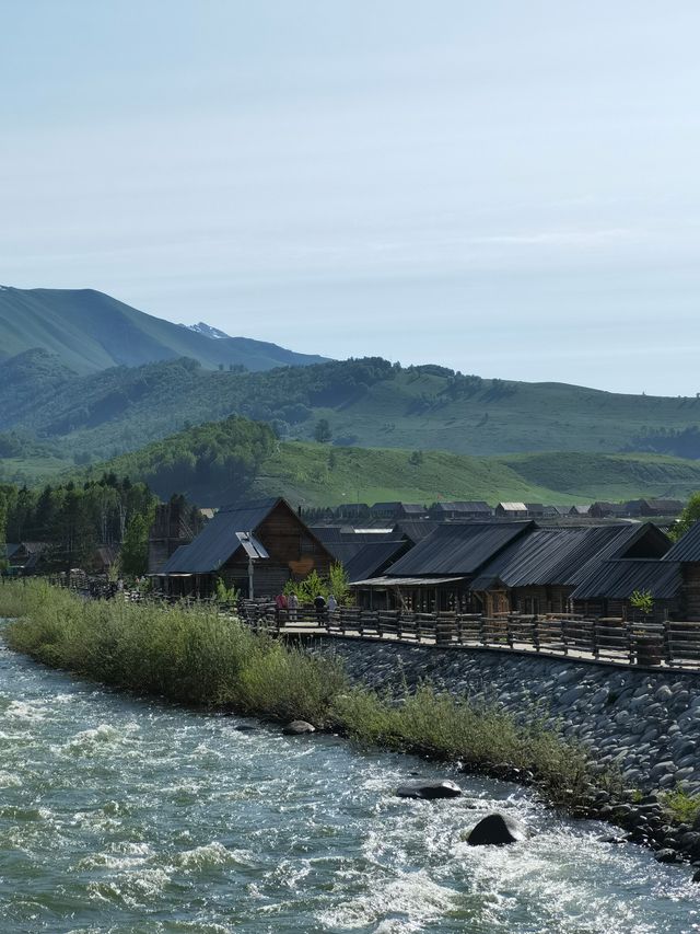 禾木：喀納斯的後花園、白樺林裡的古村落