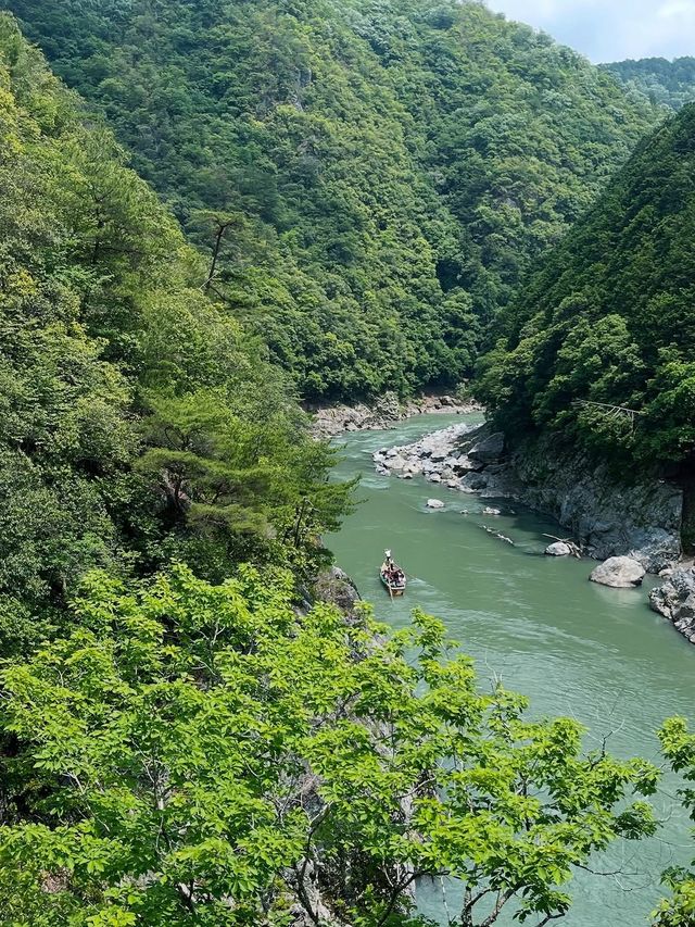 暑假推薦！京都奈良親子遊，餵小鹿坐火車