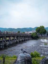大阪出發，京都奈良一日遊跟團攻略