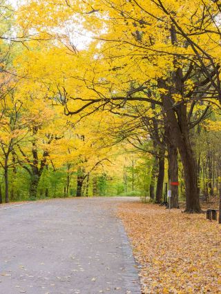 Canada 7-Day Tour: The Perfect Choice for Seniors