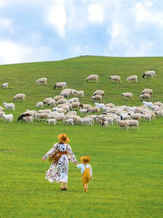 I declare! Hulunbuir is the ultimate summer destination for kids!