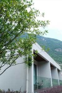 湖北絕美水上公路，山間吸氧