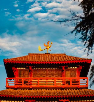 A Super Detailed Travel Guide to Puyang, the Hometown of Acrobats! Unlock Hidden Gems with Us