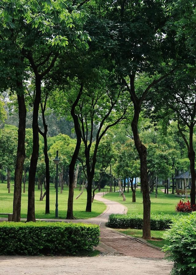 廈門忠崙公園賞花攻略 | 附周邊寶藏住宿