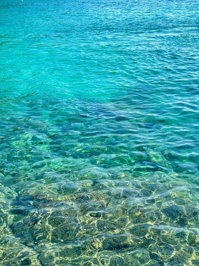 【香港西貢廈門灣】果凍海一日遊全攻略✨ 