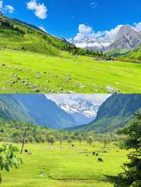 點樣玩轉四姑娘山？跟住我嘅超詳細攻略