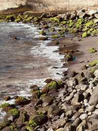 南太平洋上嘅「絕望島」，距離大陸600幾公里，魯賓遜故事喺度發生
