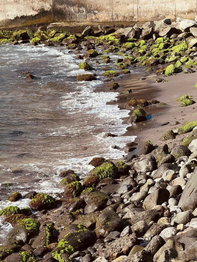 南太平洋上嘅「絕望島」，距離大陸600幾公里，魯賓遜故事喺度發生