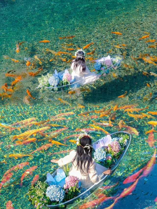 為咗一口軟糯嘢，我專登飛咗趟台州