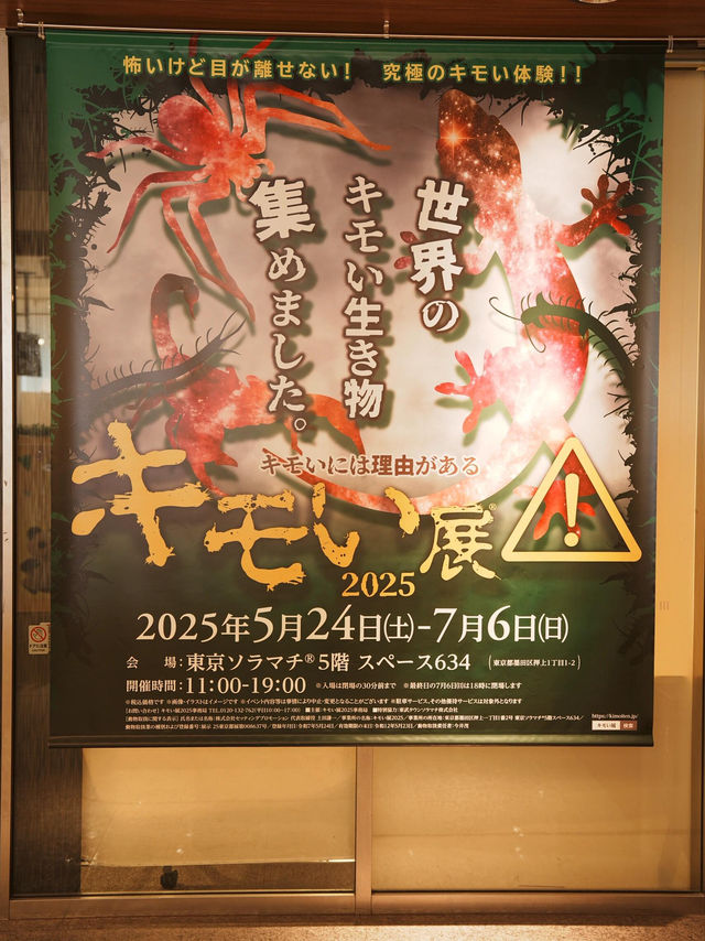 ✨東京隱藏寶地｜晴空塔腳下的逛吃天堂！