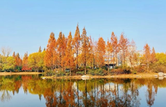 濟南森林公園 | 城市中的自然瑰寶