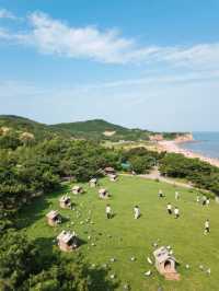 秦皇島情侶慳錢遊玩拍照攻略