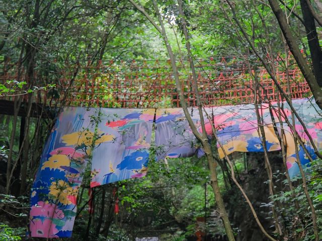 被這座浙江小城美哭了