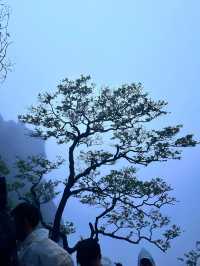 武功山之旅：一場話走就走嘅雲端探險