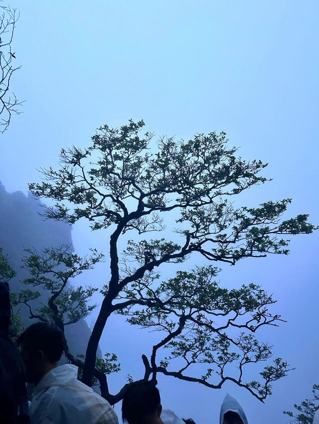 武功山之旅：一場話走就走嘅雲端探險