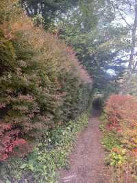從輕井澤紅葉步道，到東京潮流地標，一趟靜與動的完美旅程