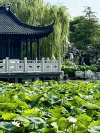 鹽城｜顛覆我認知的大洋灣希爾頓逸林酒店
