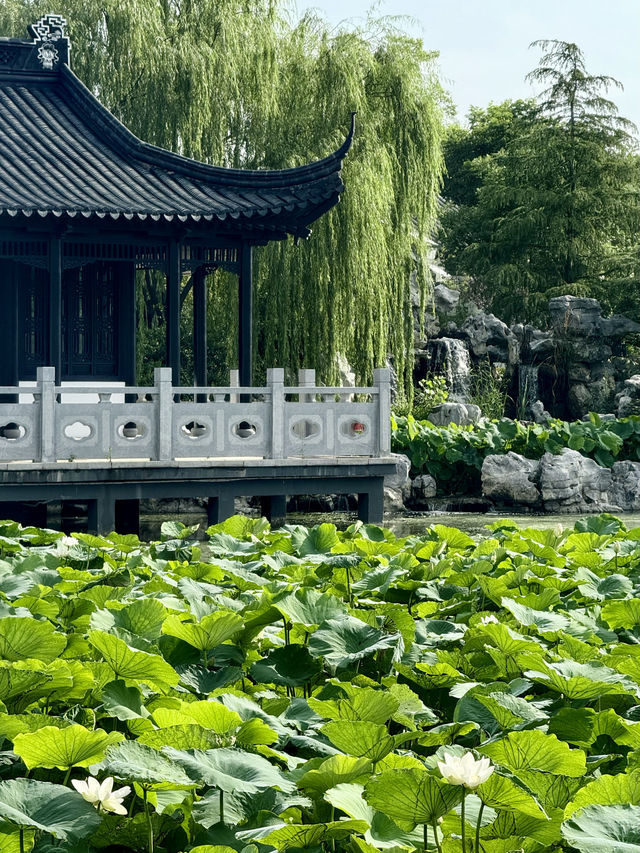 鹽城｜顛覆我認知的大洋灣希爾頓逸林酒店