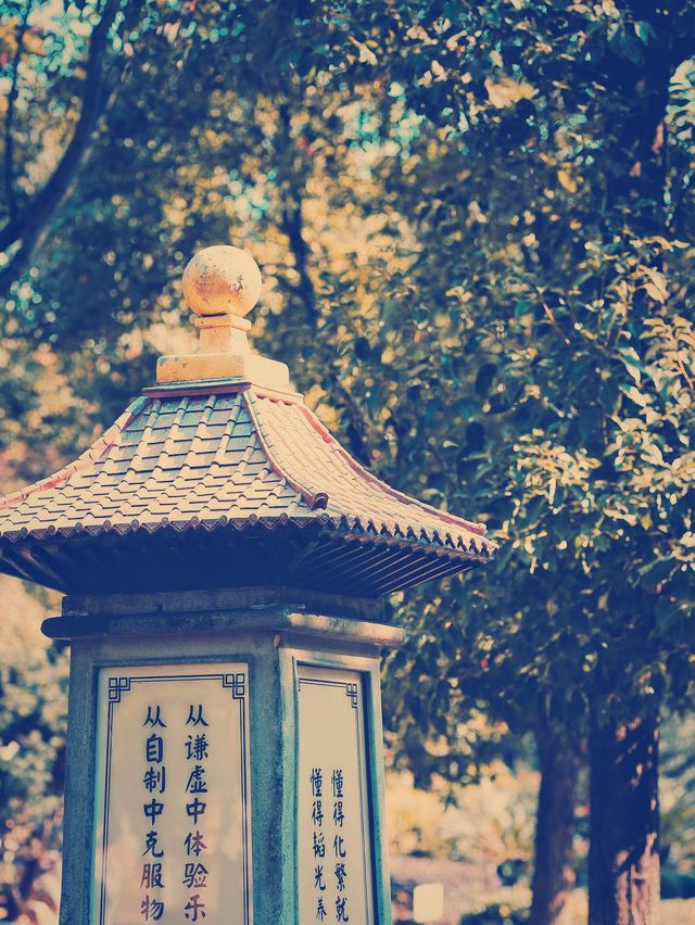 宜興大覺寺 禅意の旅