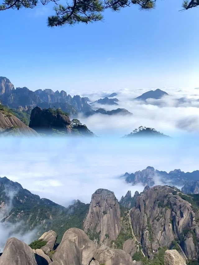 8月唔好唔聽勸就去黃山！你只有親身體會先知道……