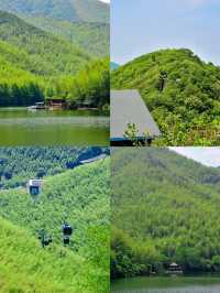 竹海秘境全攻略