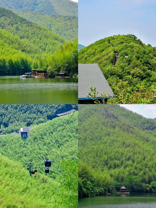 竹海秘境全攻略