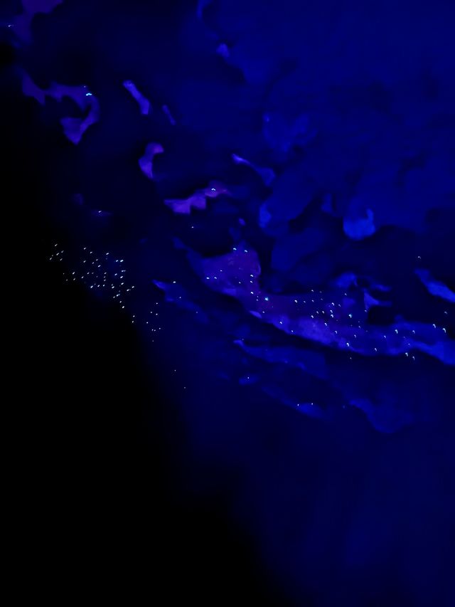 羅托魯阿：火山上的夢幻之城