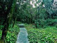 Foshan Xiqiao Mountain Forest Park: Where Nature Meets Legend