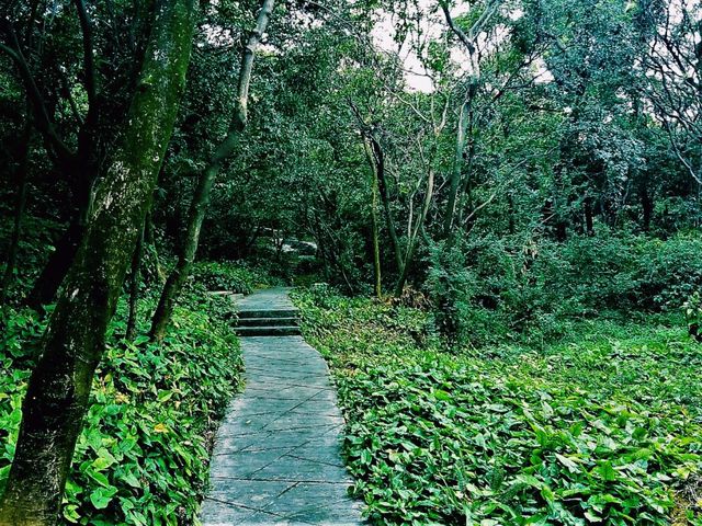 Foshan Xiqiao Mountain Forest Park: Where Nature Meets Legend