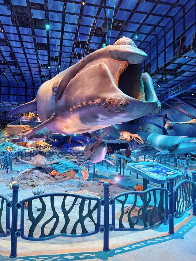 沉浸式宇宙海洋冒險！長隆飛船樂園超全攻略