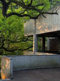 躲進杭州山野，在草塗溫泉美宿泡進雲端裡