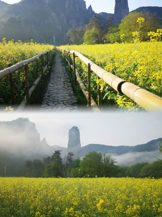 縉雲山居美宿必打卡泳池原木風超香燒餅體驗拉滿！