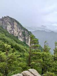 蒼茫雲巔——牛背梁