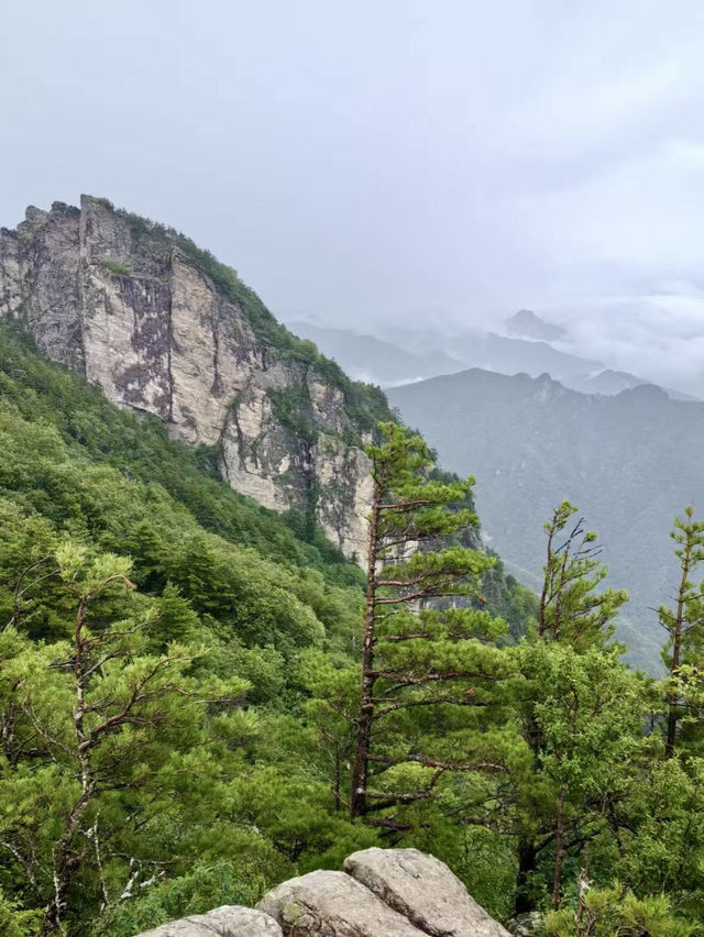 蒼茫雲巔——牛背梁