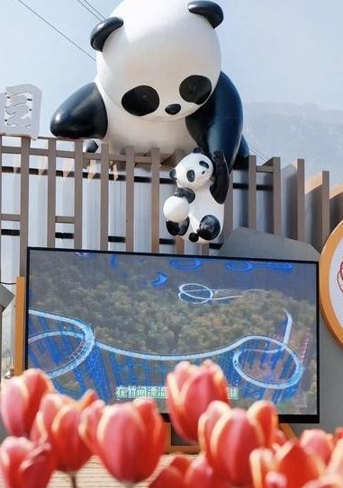 萌寵、飛車與竹海漂流！安吉熊貓部落探險樂園全攻略