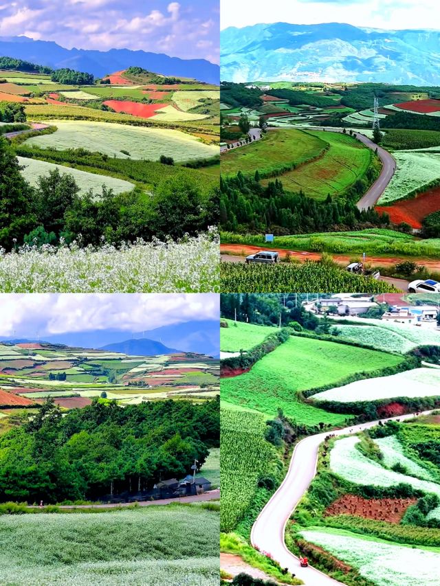 東川紅土地:上帝遺落在人間的調色板 東川紅土地:上帝遺落在人間的調色板