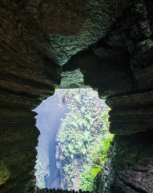 綠野深處秘境路線