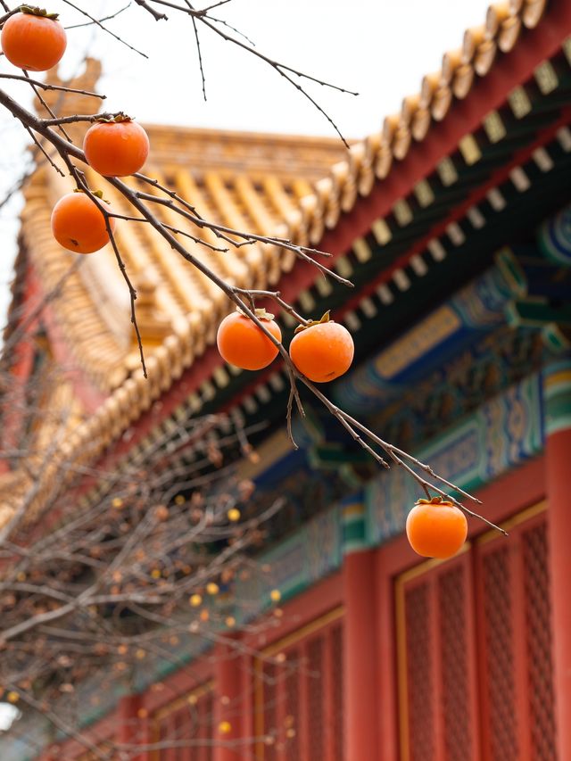 北京三里屯 北京三里屯