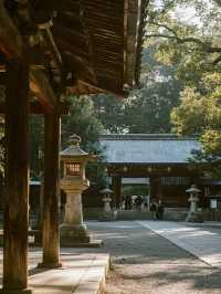 奈良公園手記｜在神鹿與古寺間收藏唐朝遺落的時光