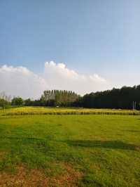 南京江心洲遛娃|真的已經到了next level