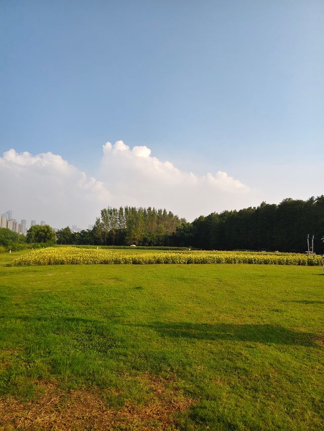 南京江心洲遛娃|真的已經到了next level 南京江心洲遛娃|真的已經到了next level