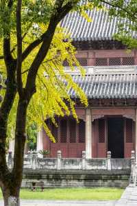 從烏鎮戲劇節轉場來鹽官取暖