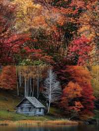 四川秋日封神！光霧山34萬畝彩林紅瘋了！
