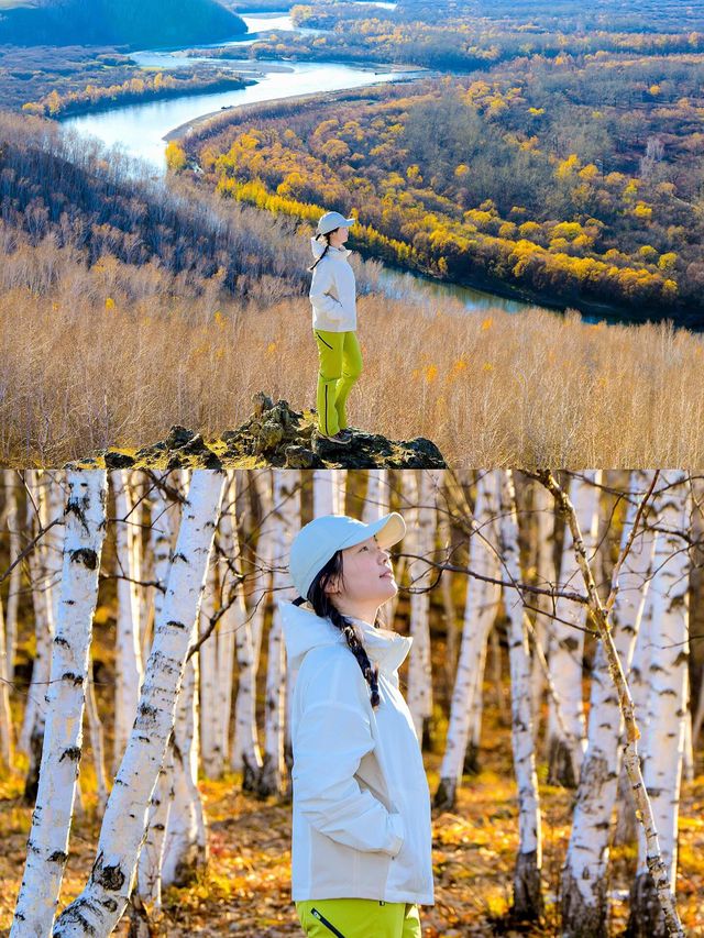 額爾古納濕地~十月，葉片凋零，而我鮮明