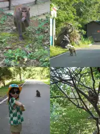 上海3h溯溪漂流避暑親子寶藏遛娃地